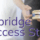 hybridge success story