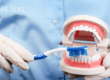 toothbrush brushing fake teeth